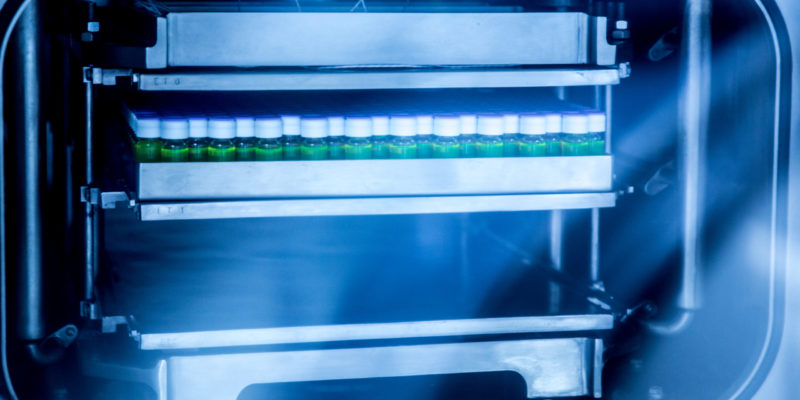 Freeze Drying Sterile
